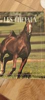 Livres cheval