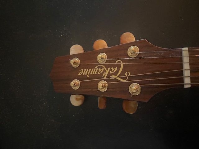 Takamine Strumenti musicali: Takamine Gitarre P3NC Pro Serie – Usato da Bern venduto da Joudy13 4