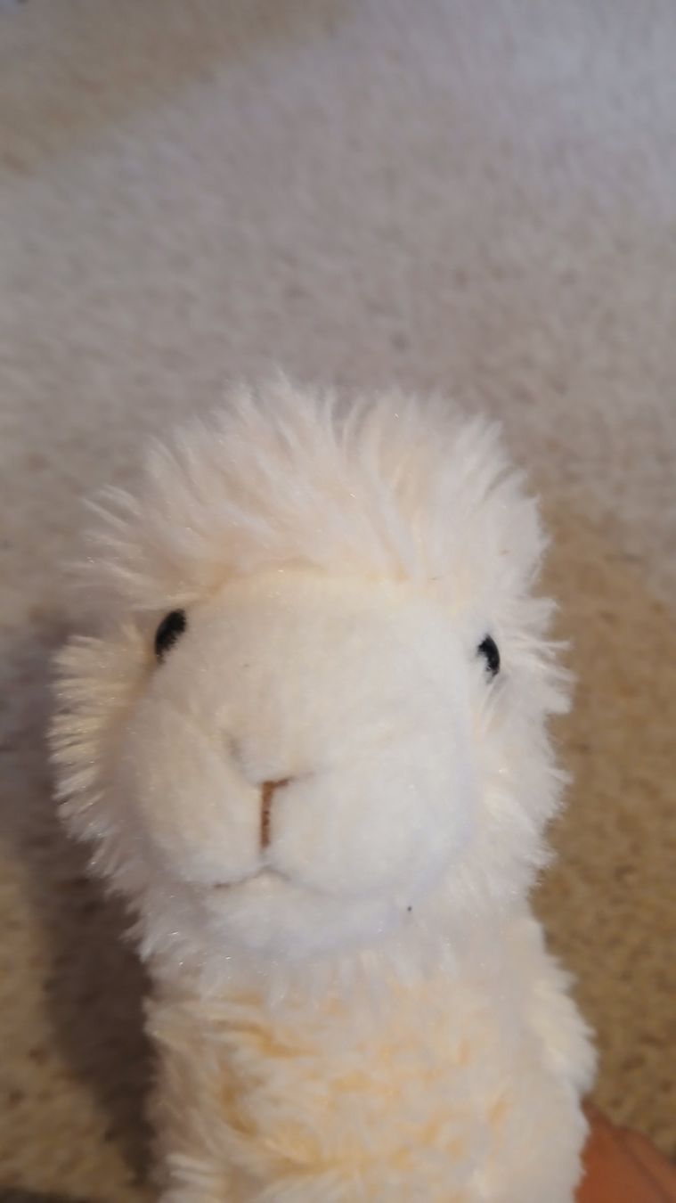 Jouets: Plüschtier Alpaka Lama – Neuf (Voir description) à Davos Monstein par Loiseleurea