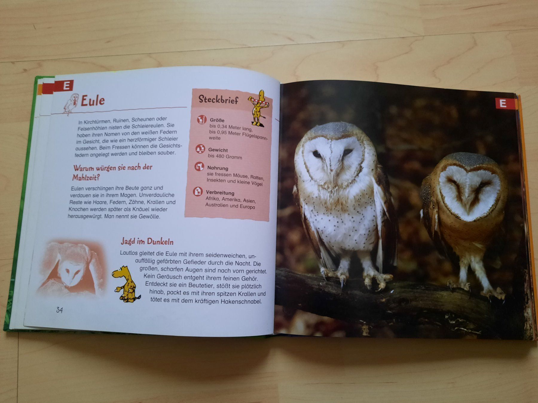 Libri: Mein erstes Bildlexikon der Tiere – Usato da Niederglatt ZH venduto da Bobsli 2