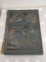 Buch: altes Buch für alle Welt 1902