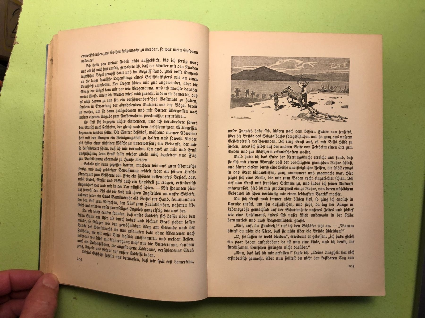 Bücher: Johann David Wyss: Der schweizerische Robinson – Neu (gemäss Beschreibung) aus Zürich von allp 5