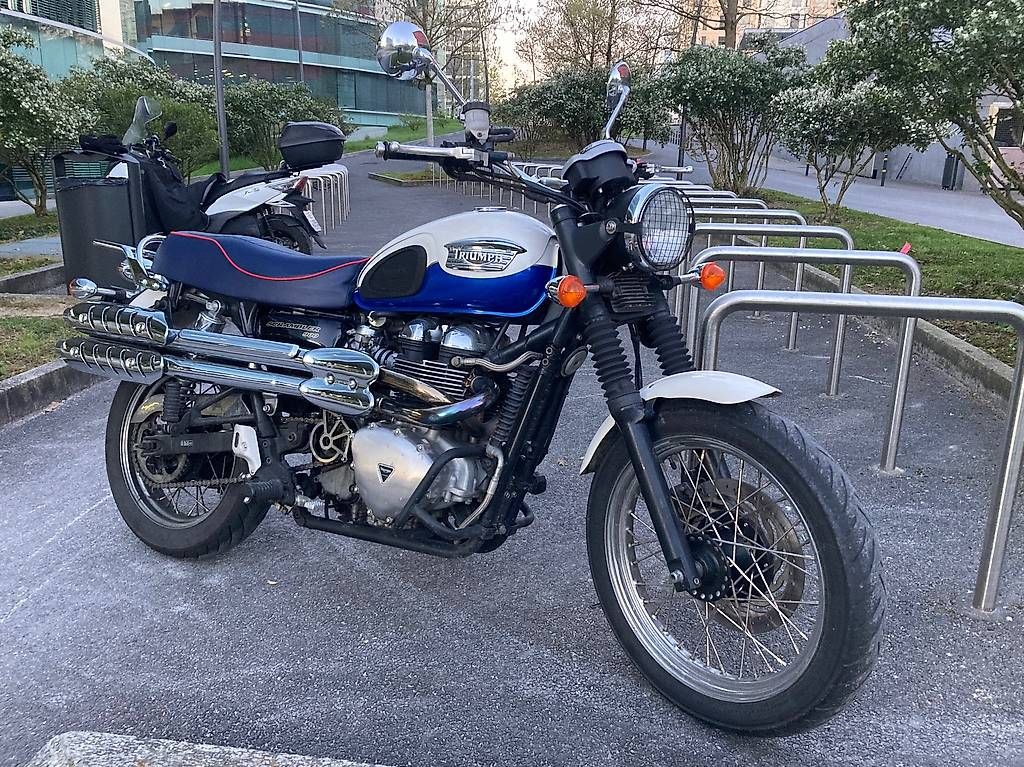Triumph Altro: Triumph Scrambler de 2006 – Usato da Genève venduto da room17 3