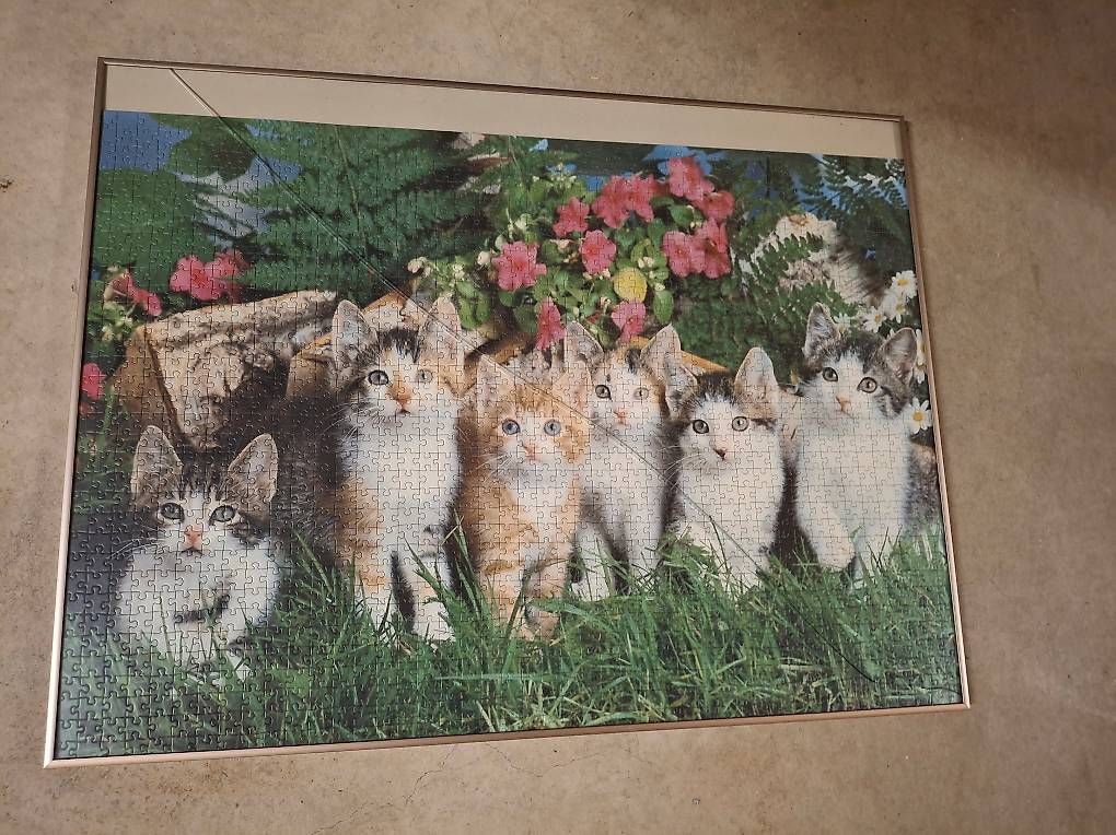 Ravensburger Puzzle: Puzzle – Usato da Langnau i. E. venduto da Li20 1