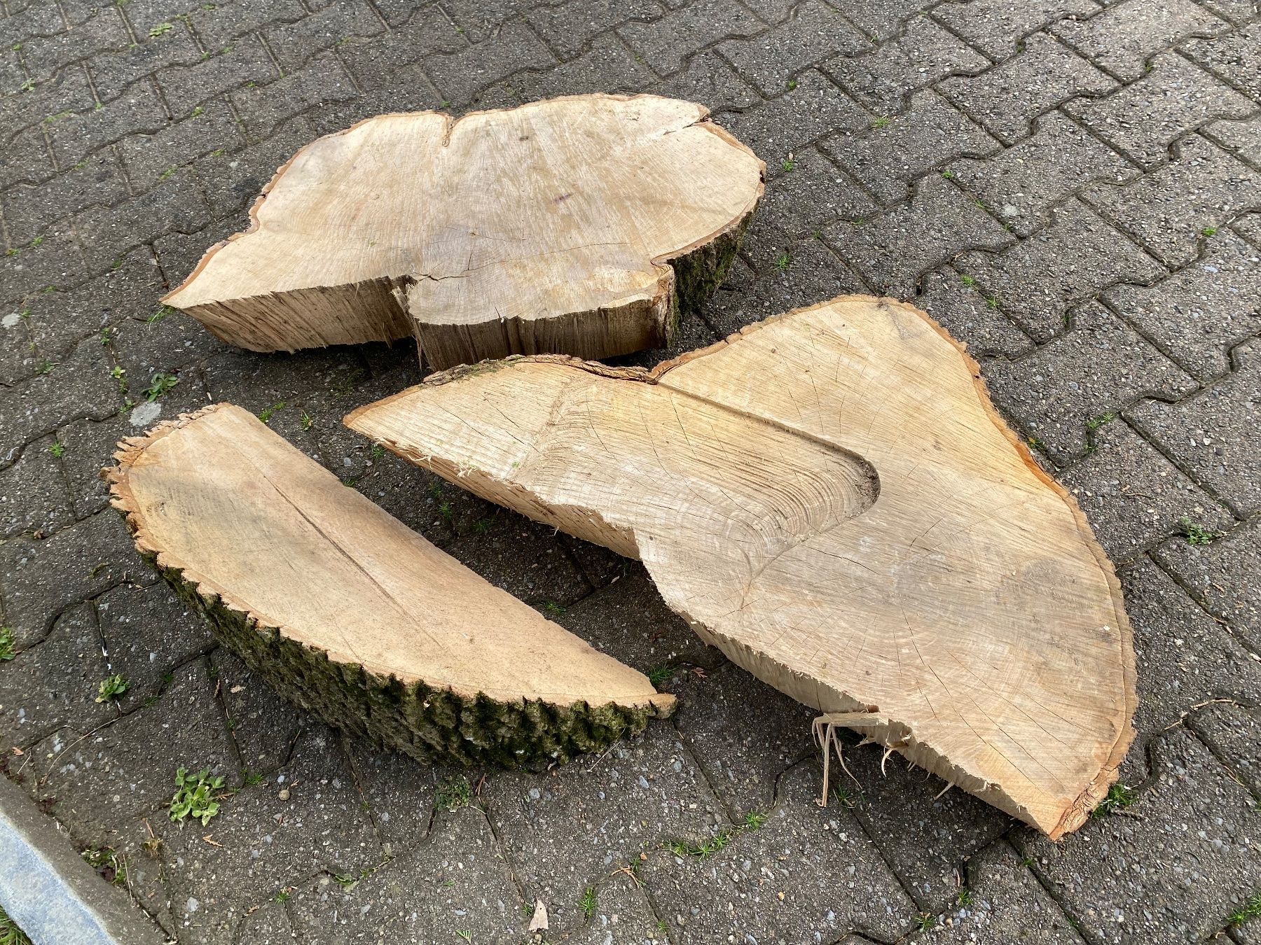 Articoli in legno: 3 schöne Esche-Baumscheiben – Usato da Feldbach venduto da Olive1 5