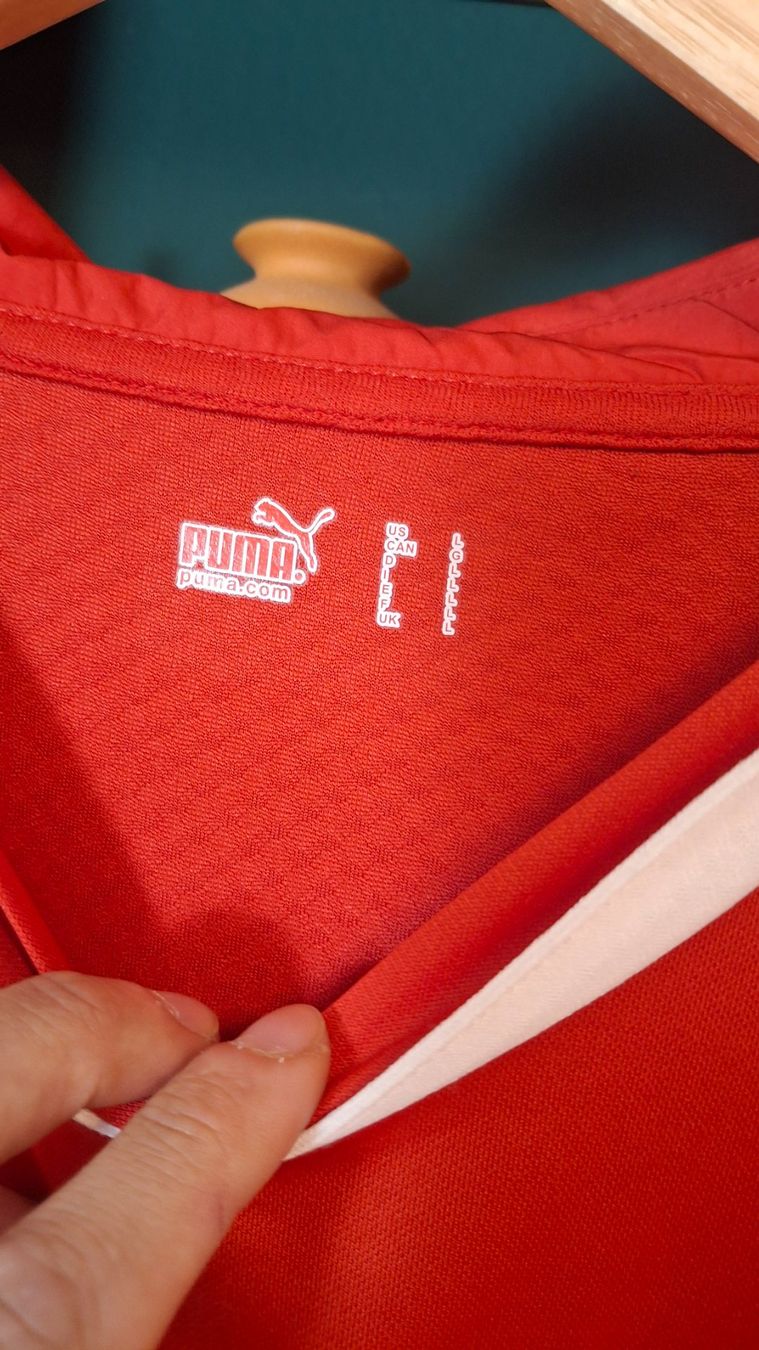 Schweizer Nati Leibchen & Hosen: Switzerland 2010 Nati world cup puma player version – Gebraucht aus Yverdon-les-Bains von flo_8fgr 2
