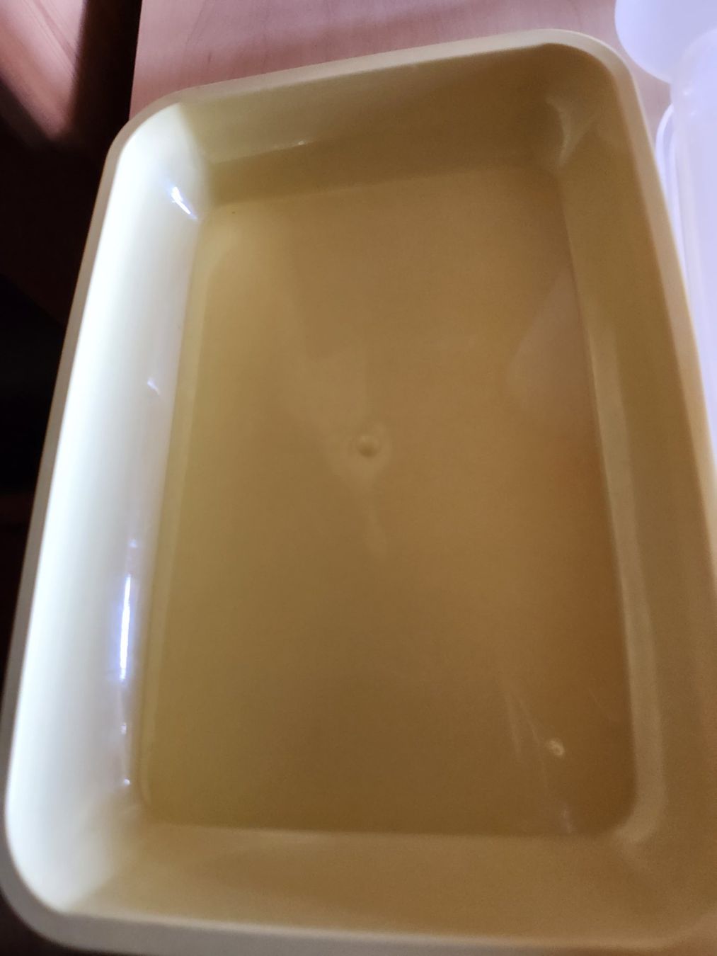 Tupperware Behälter & Ähnliches: Tupperware Spaghettibehälter mit einsatz Neu u 2x Behälter – Gebraucht aus Gstaad von Kuhstall-2026 5