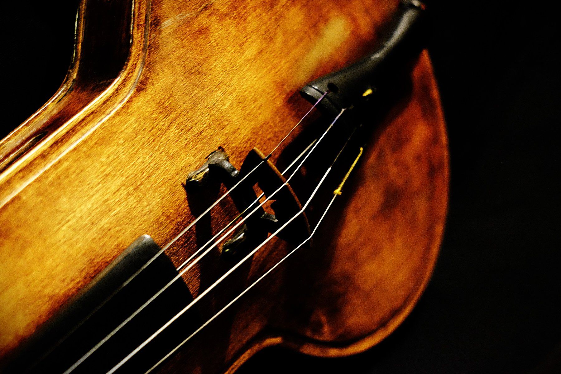 Strumenti musicali: Zoller Geige 1948 – Usato da Winterthur venduto da hermanadam 5