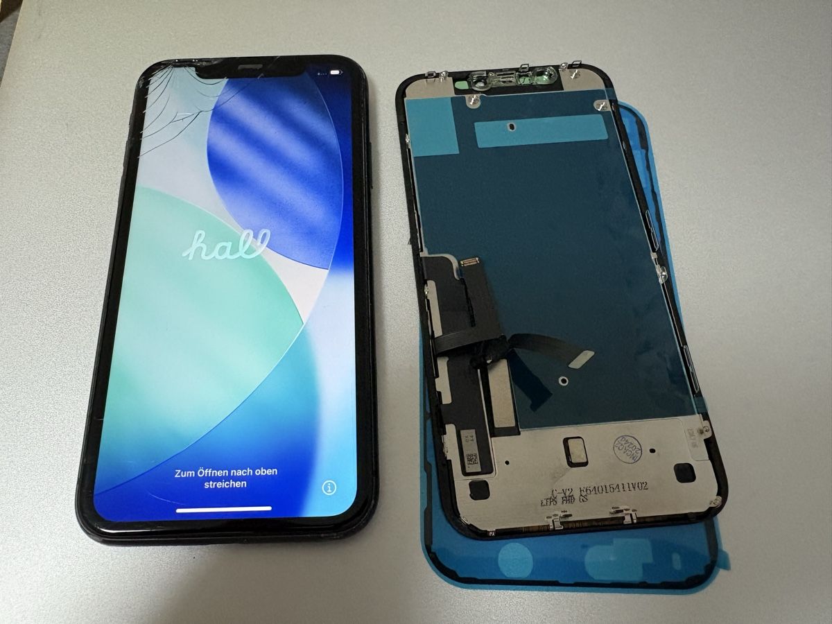 Apple Portables: iPhone 11 gebraucht  – D'occasion à Turbenthal par Winc