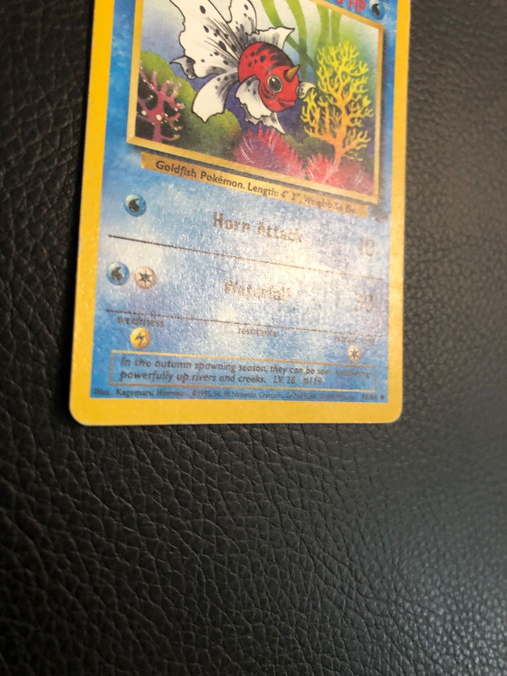 Pokémon Carte collezionabili: 1999 Jungle Seaking 46/64 Ab 1 – Usato da Paradiso venduto da Pkmn10 2