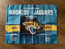 Jacksonville Jaguars Fahne