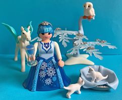 Playmobil: Schneekönigin
