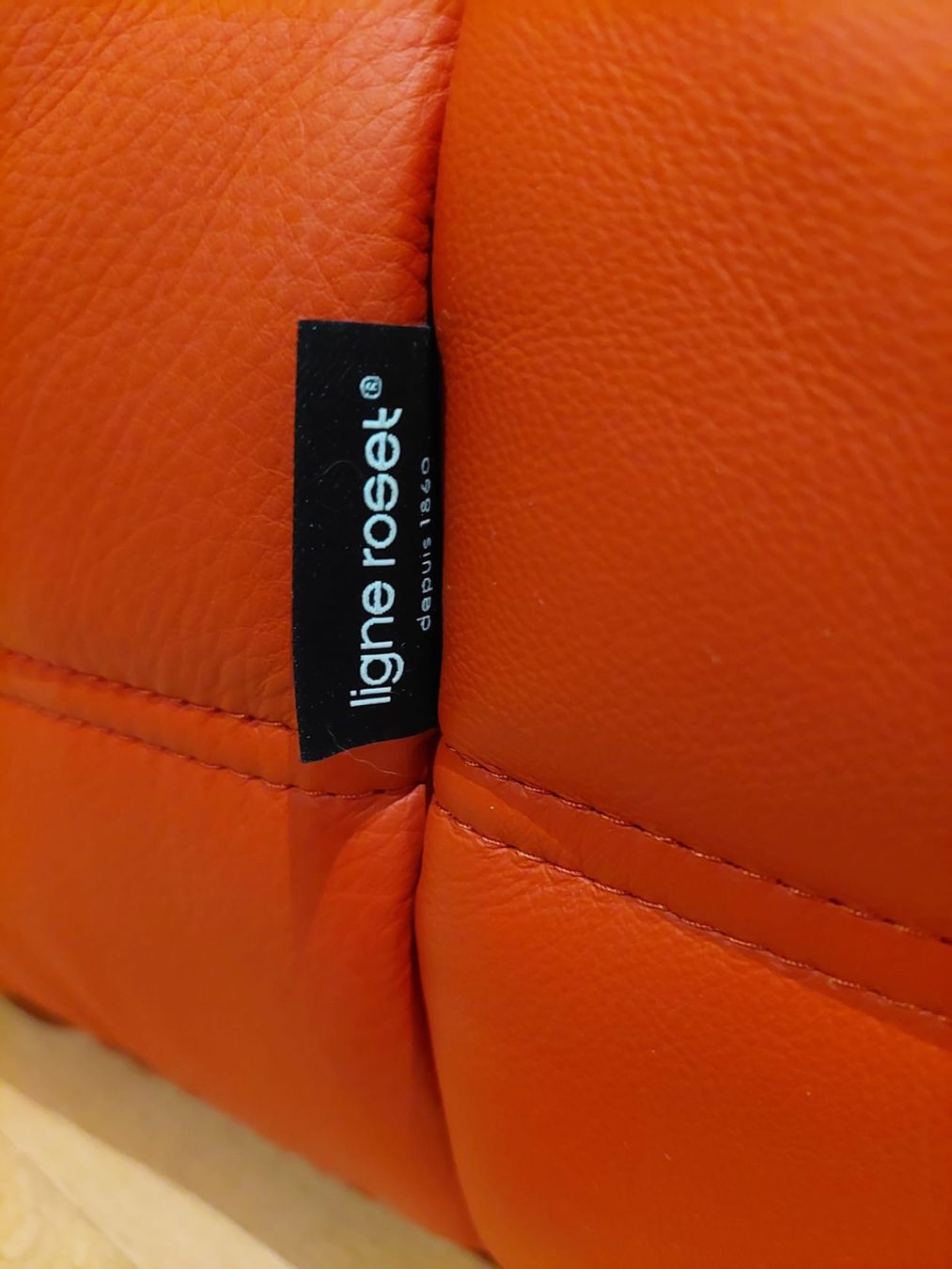 Ligne Roset Divani: Ligne Roset - Togo - cuir - 2025 – Nuovo (secondo la descrizione) da La Tour-de-Peilz venduto da DressingEKL 2