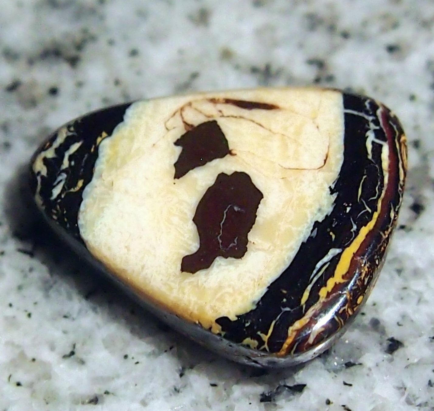 Pietre preziose: 27 CRT. KOROIT OPAL, schönste Muster! AAA – Nuovo e nell'imballaggio originale da Reinach BL venduto da Marcopal 6