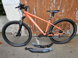 Mountainbike Specialized