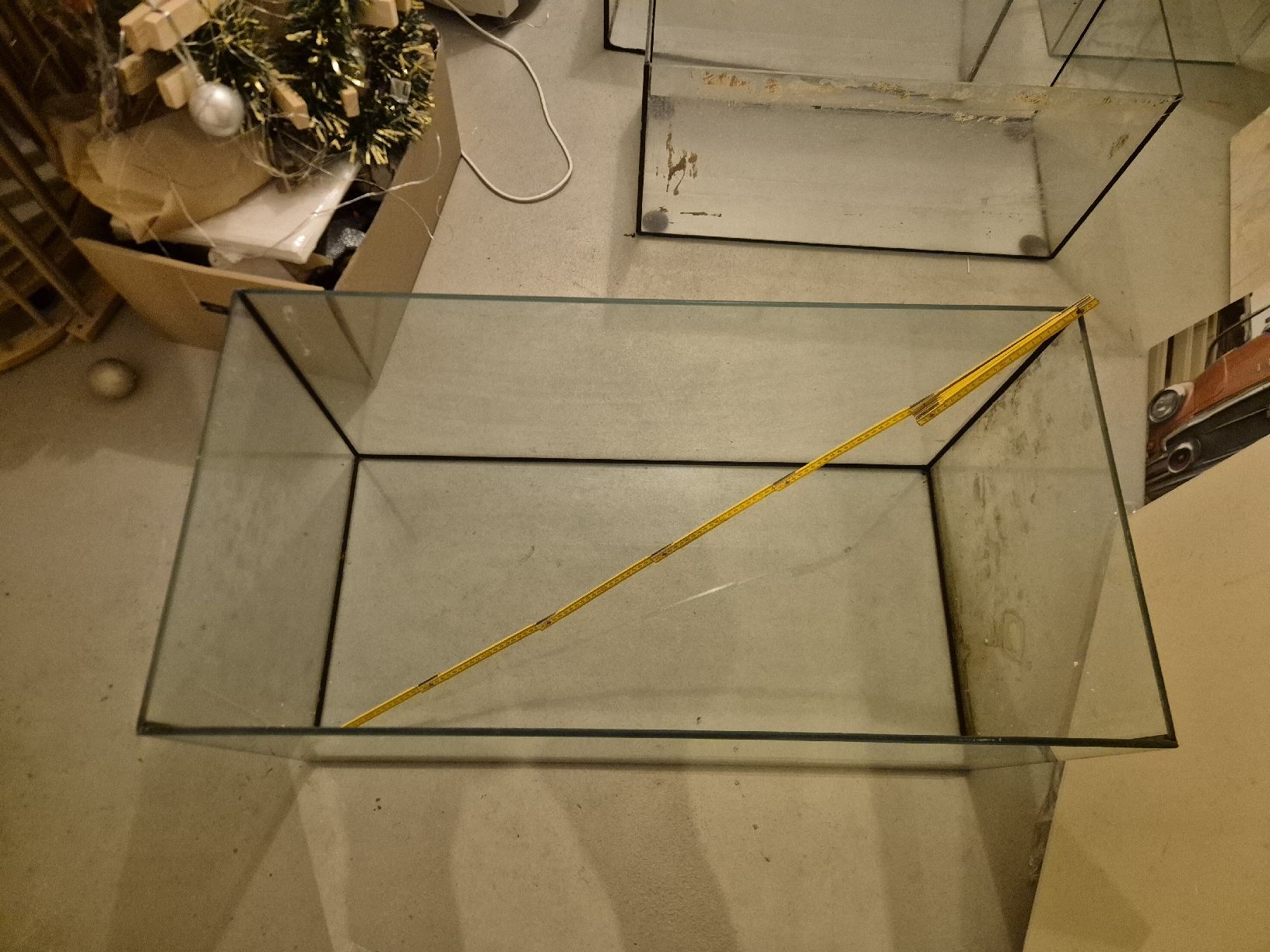 Terrario: Grosses Glas Terrarium – Usato da Bertschikon Gossau venduto da syd_p8kl 1