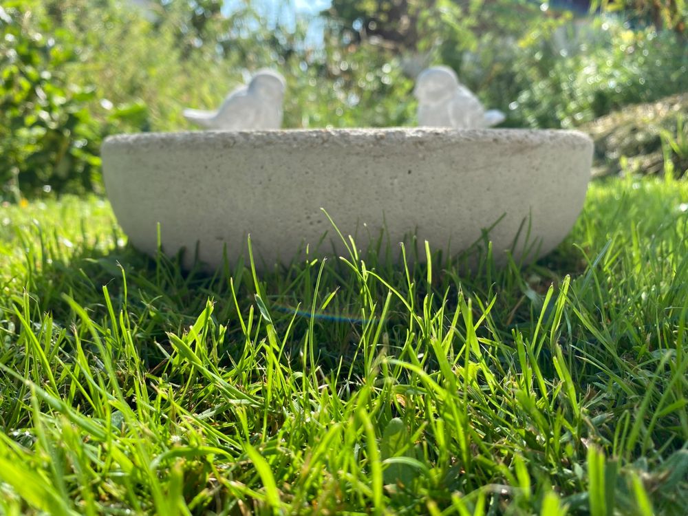 Vogeltränke aus Beton **NEU** handmade with Love ** Kaufen auf Ricardo
