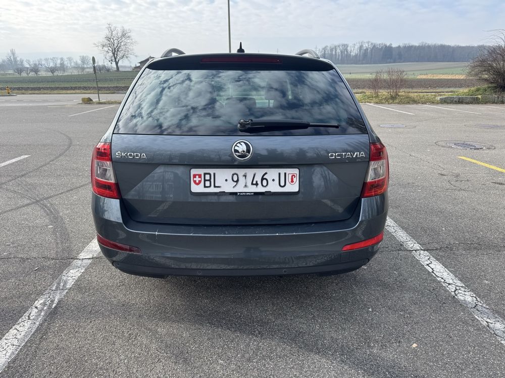 Skoda Automobili: Skoda Octavia 2.0 TDI Frisch ab MFK – Usato da Oberwil BL venduto da Samsung010 3