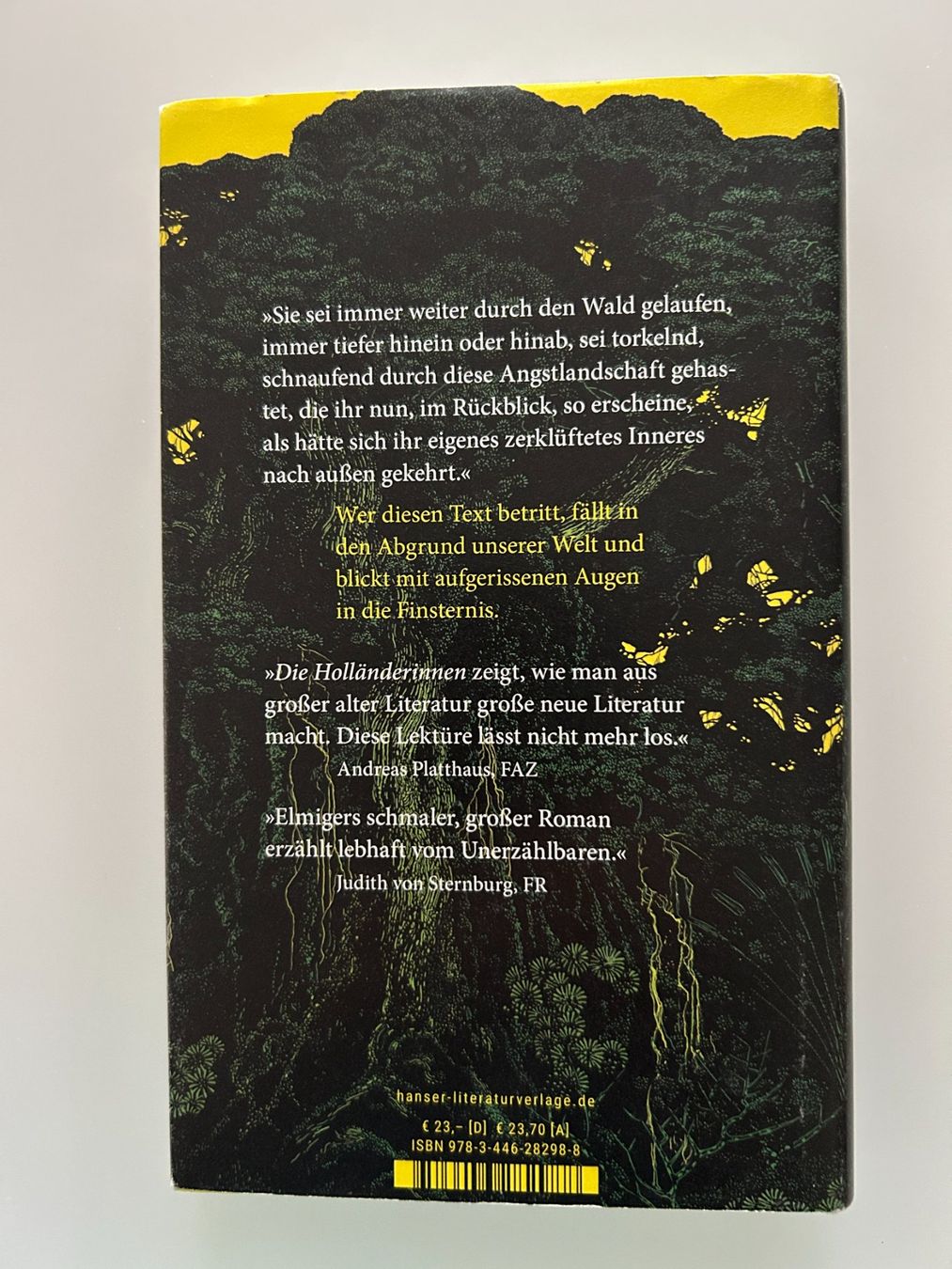 Libri: Dorothee Elmiger Die Holländerinnen – Usato da Ettingen venduto da sagada81 1