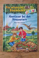 Buch Das magische Baumhaus junior Dinosaurier gebraucht