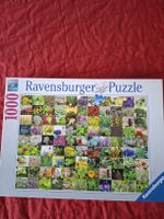 Ravensburger Puzzle 1000 Teile