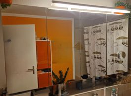 4-er Spiegelschrank (4B)