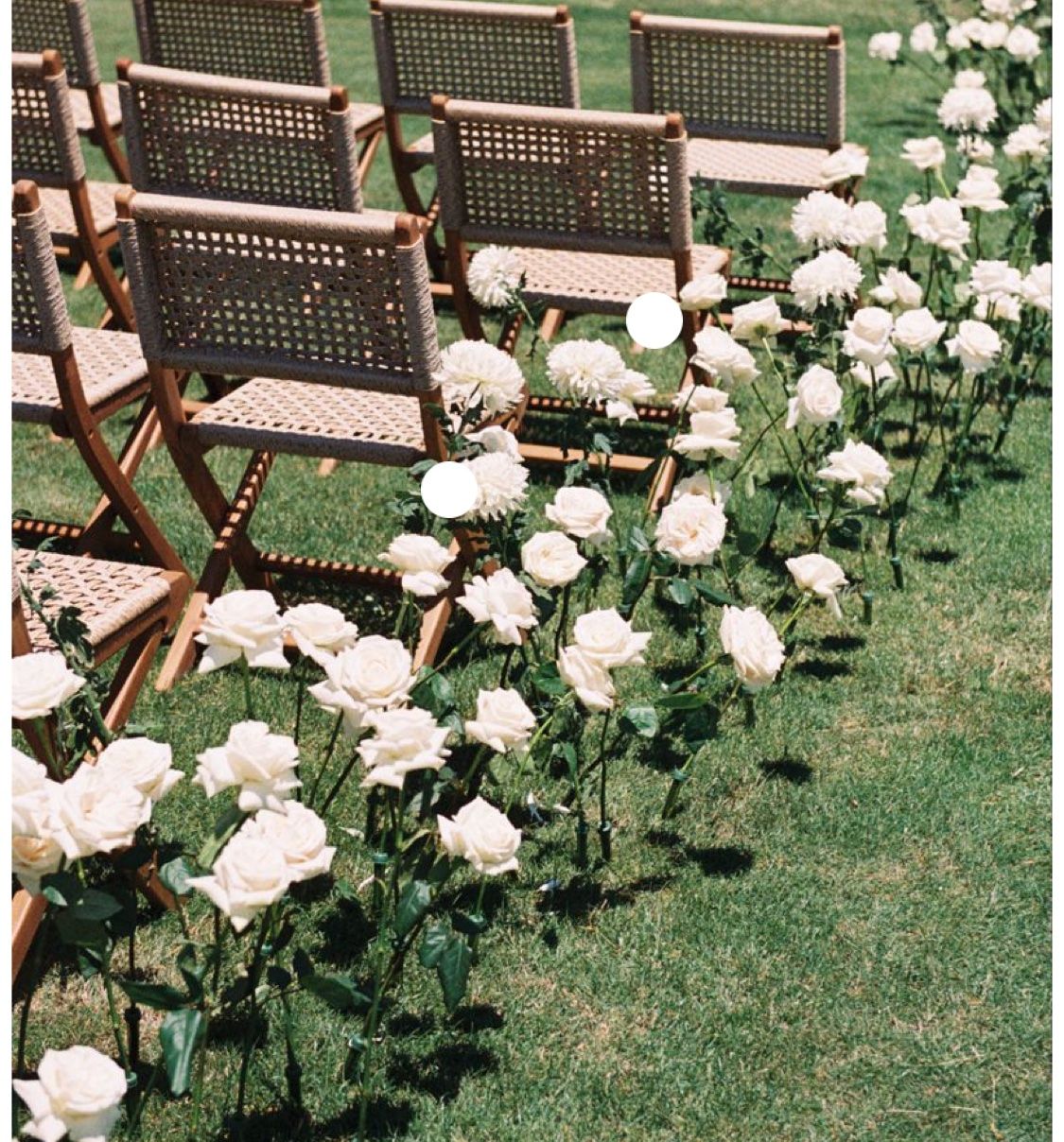 Vasen & Gefässe: 29 Stk. Blumenröhrchen, Orchideenvase, mit Deckel – Gebraucht aus Zürich von blancali 1