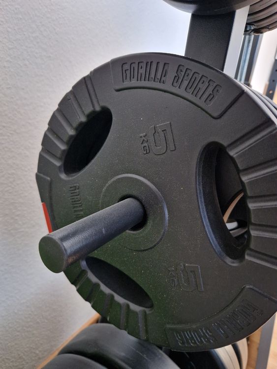 Micro Gainz Hantelscheiben 0,5 Kg – 2 Oder 4 Stück, Aus Sinterstahl, Für Mikrobelastung, Made In USA