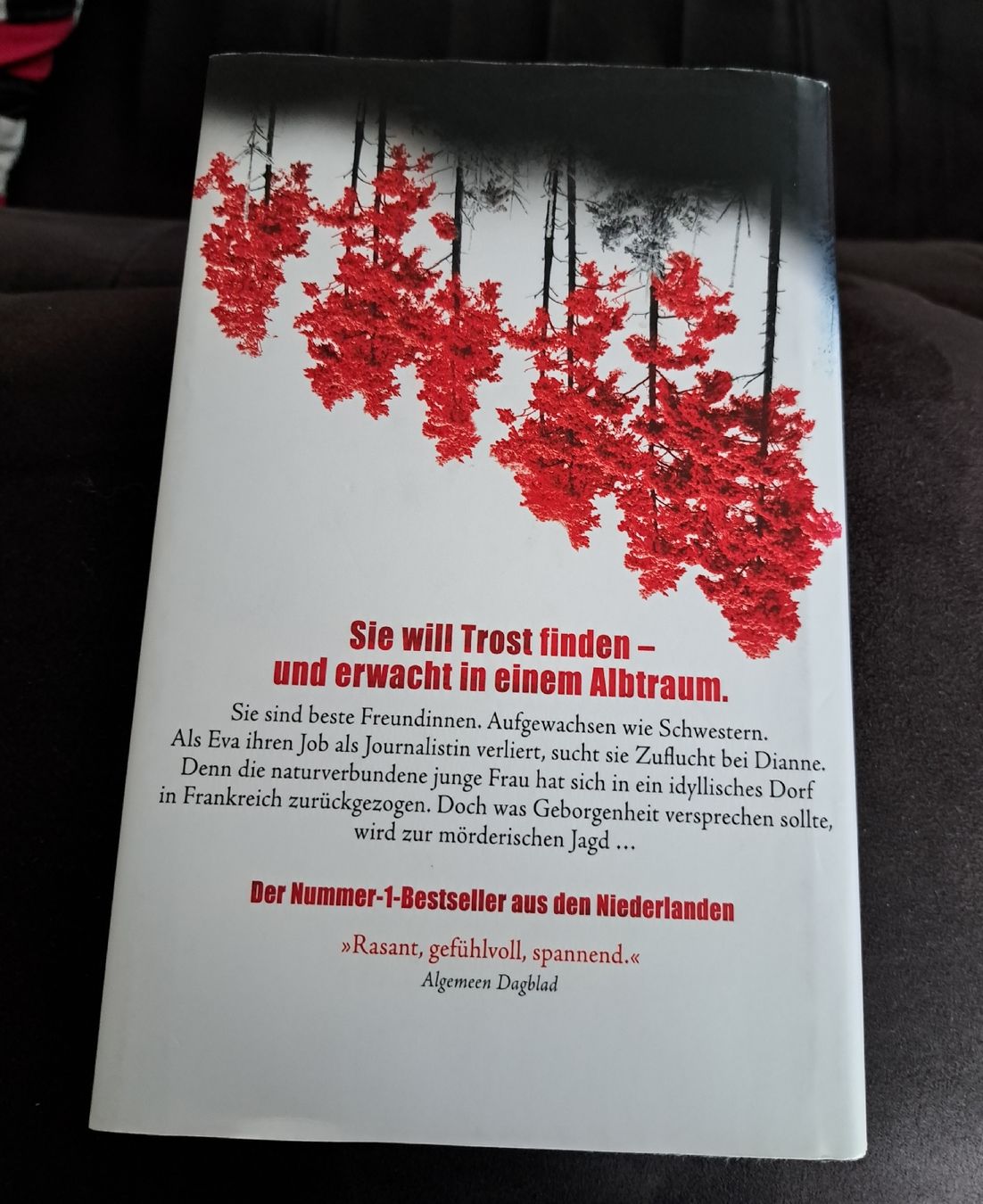 Libri: Esther Verhoef VERFALLEN – Usato da Bellach venduto da TORA4 1