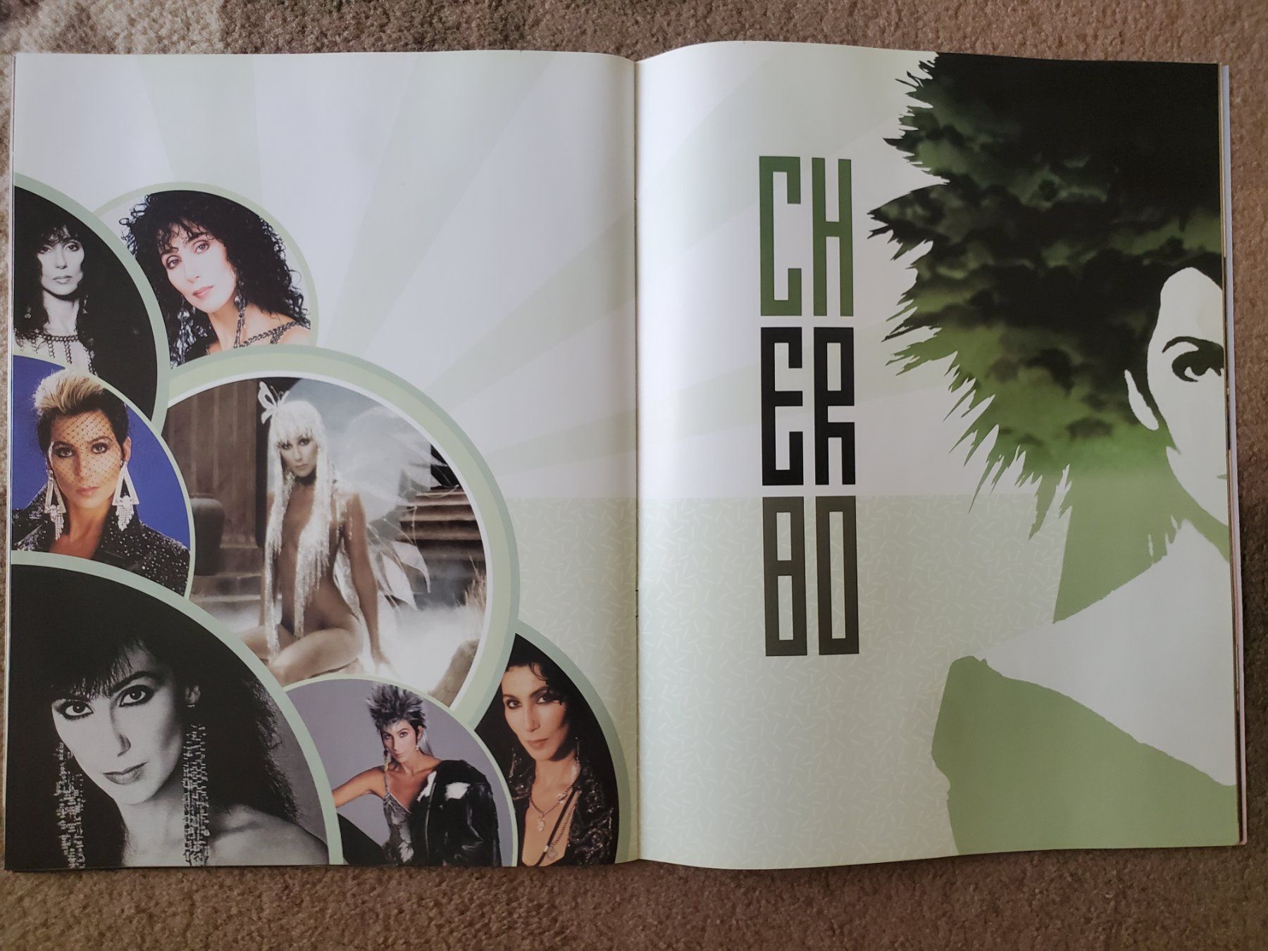 Libri: Cher Farewell Tour 2004 – Usato da Opfikon venduto da Steins_Siedlung 5