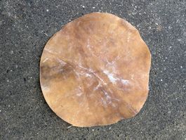 Trommelfell, Büffel Trommelhaut 55 cm 2 mm (Nr.58)