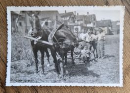 Landwirte mit Pferden auf dem Felde-Kennt sie jemand? 7x10cm