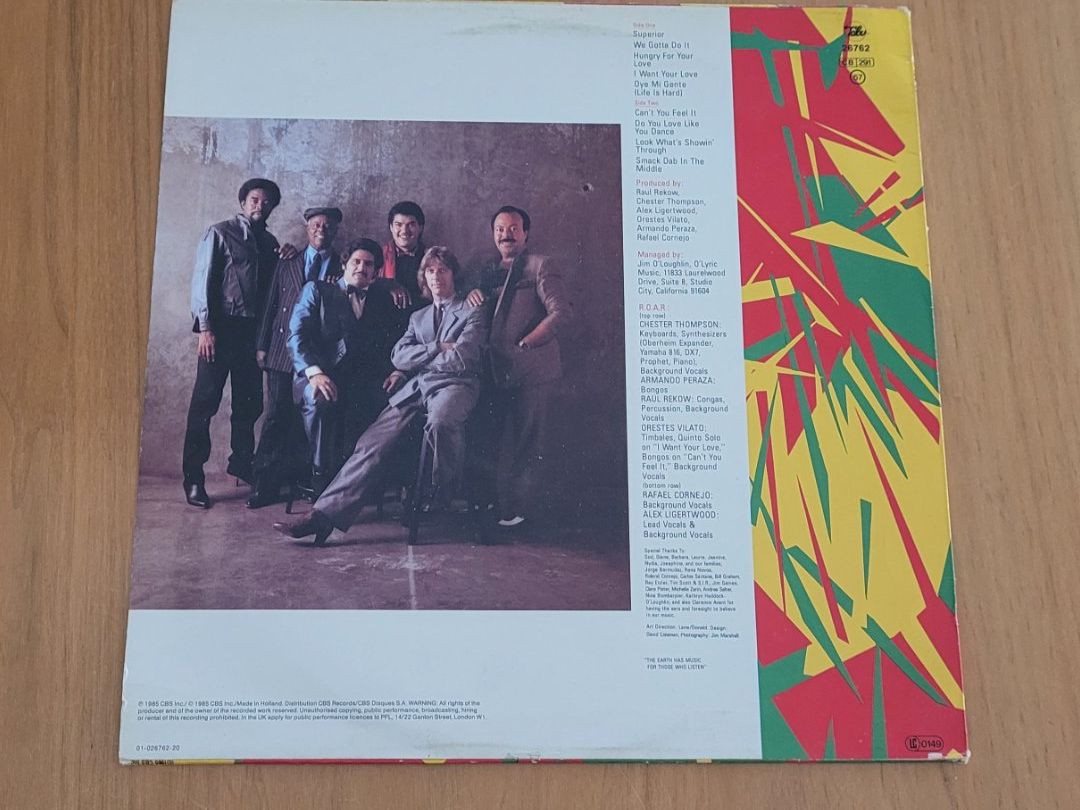 Dischi in vinile: LP  R.O.A.R – Usato da Martigny venduto da MZ-67 1