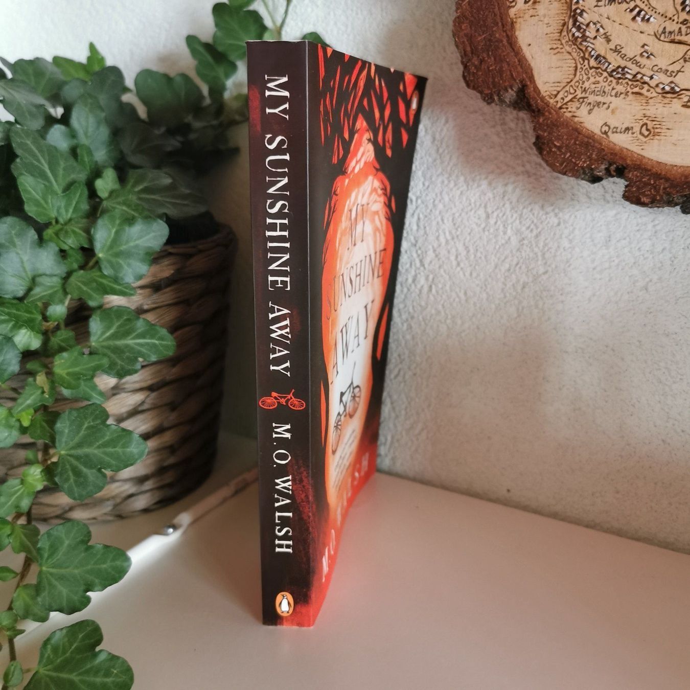Libri: My Sunshine Away - M.O Walsh – Usato da Veytaux venduto da lelivreouvert 1