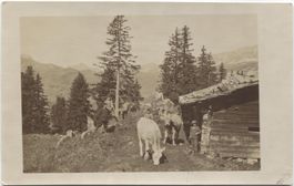 Landwirtschaft/Alpwirtschaft 1920 Kanton GR?