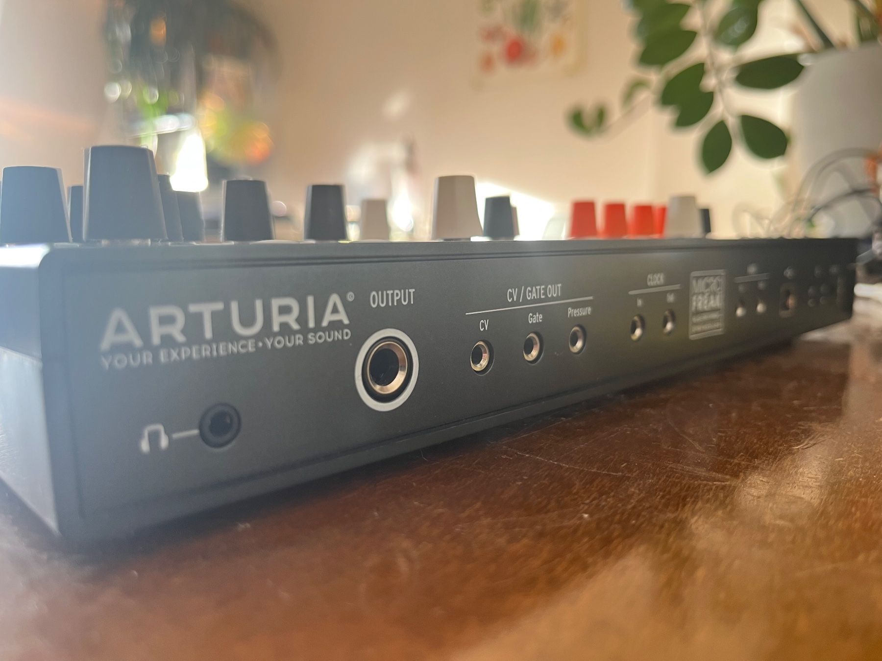 Musikinstrumente: Arturia MicroFreak – Gebraucht aus Zürich von MusicWombat 3