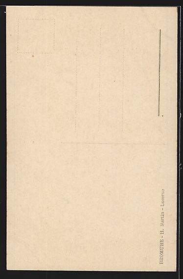 Cartoline postali: AK Luzern, Dornacherhaus – Usato da Berlin venduto da bartko-reher 1
