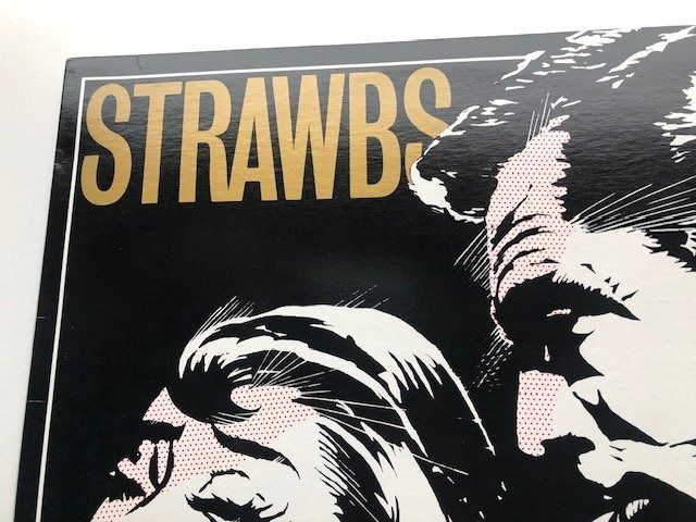 Dischi in vinile: The Strawbs – Usato da Aarwangen venduto da Jukebox3 1