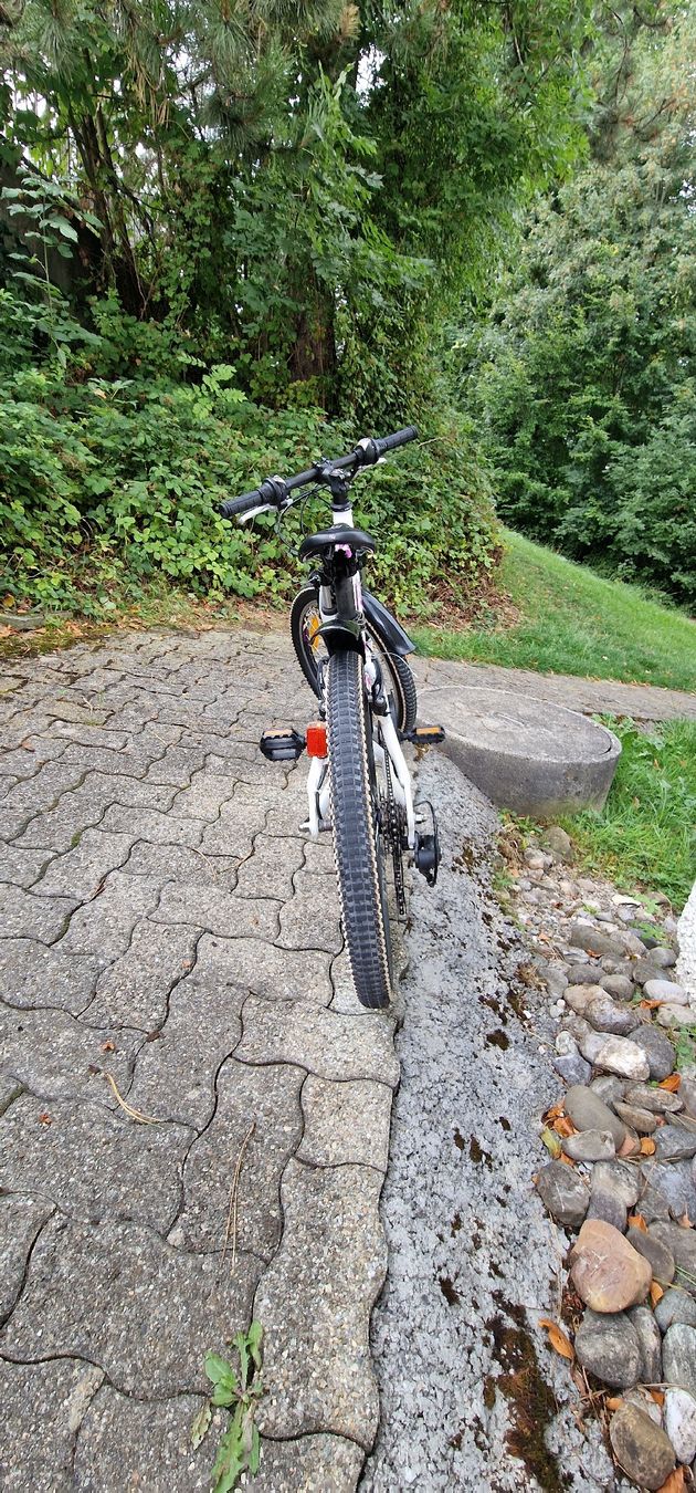 Bulls Biciclette: Bulls Velo 20 Zoll Mädchen – Usato da St. Gallen venduto da mah_c2qp 1