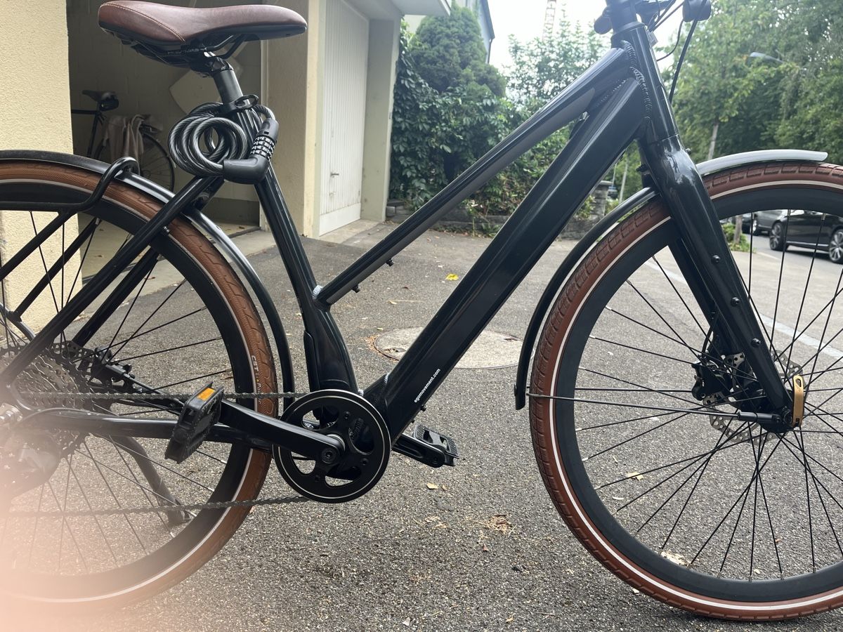 Ego Movement Biciclette: EGO Movment E. Bike – Usato da Zürich venduto da ala_h6yq 1