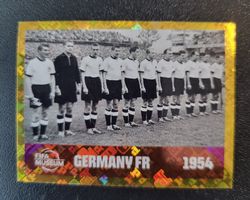 Panini - FWC 11