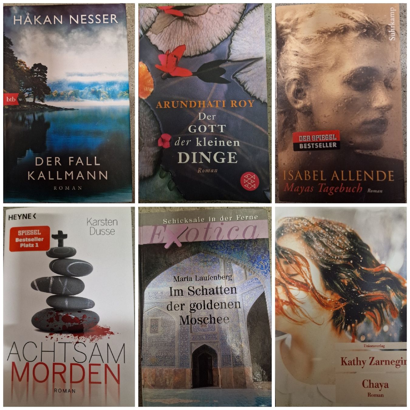 Bücher: Diverse Romane von verschiedenen Autoren – Gebraucht aus Bern von Monaluna 2