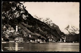 AK Flüelen, Am Vierwaldstättersee und der Bristenstock
