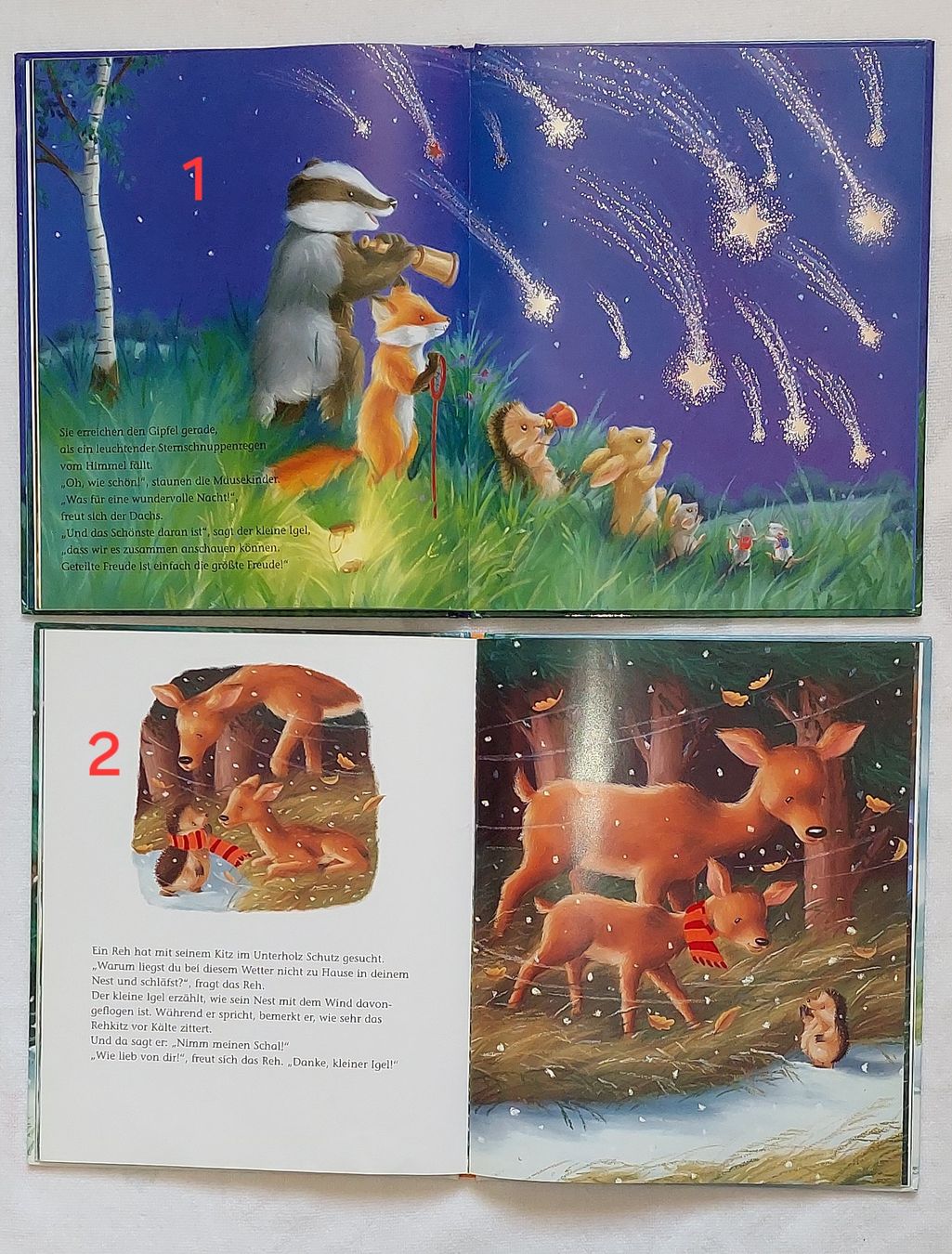 Libri: 4 Bücher mit dem kleinen Igel, auch einzeln möglich – Usato da Uitikon Waldegg venduto da Smeragol 3