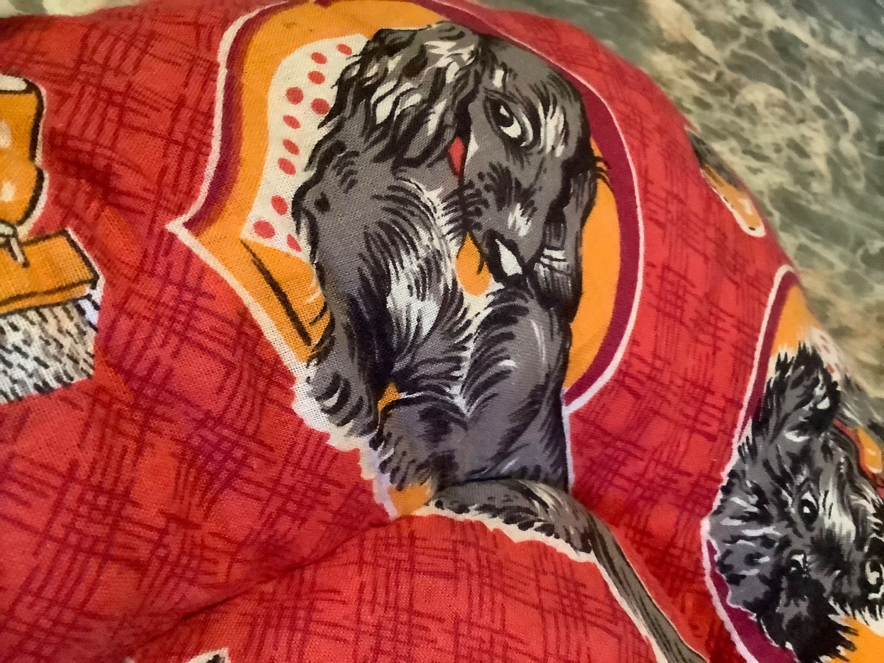 Cucce & Letti: Coussin pour petit chien - Épais, confortable - Comme neuf – Usato da Le Lignon venduto da Gwen77 3