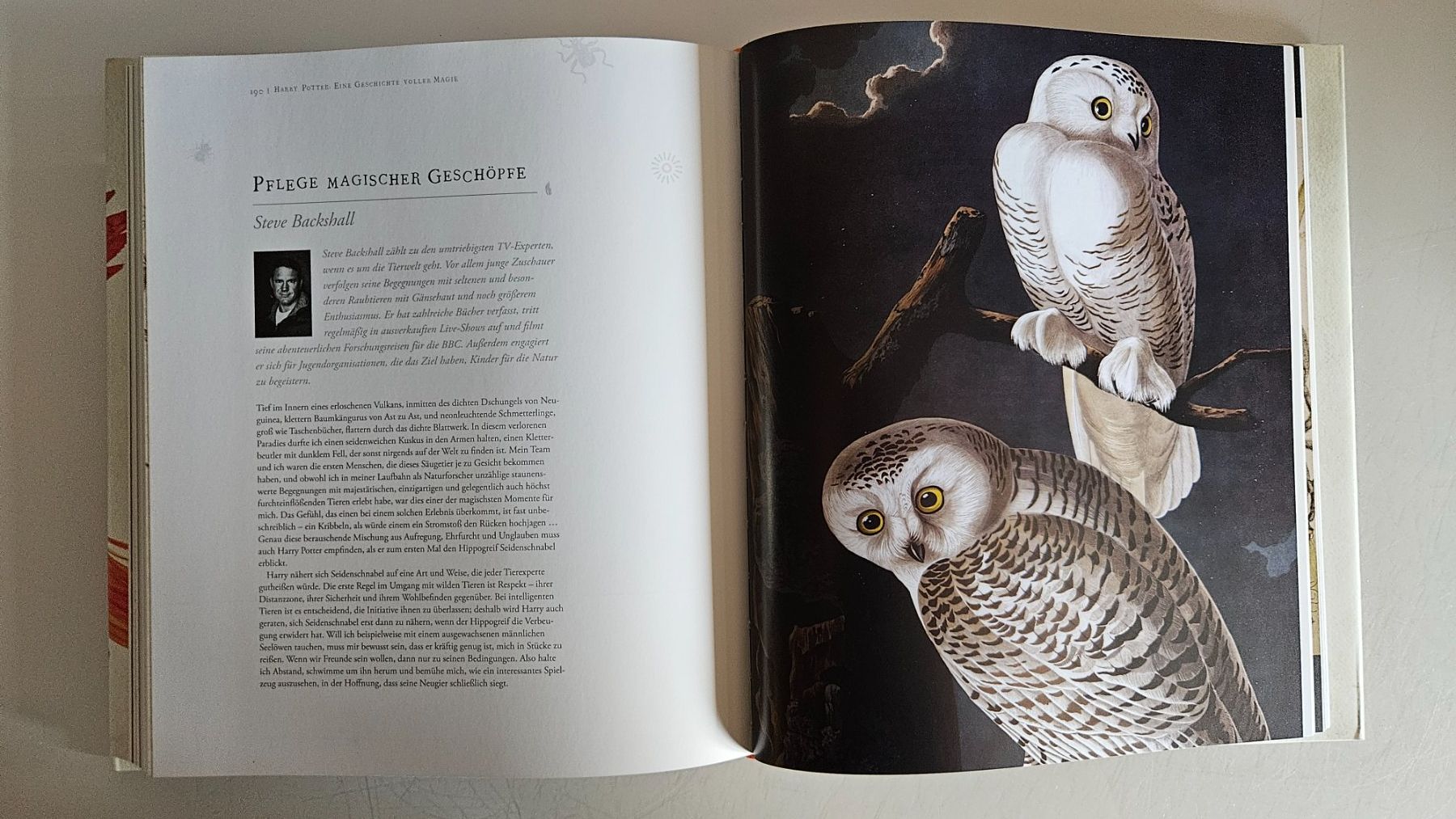 Libri: Harry Potter: Eine Geschichte voller Magie – Usato da Basel venduto da True_Hofer_Store 3