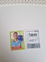 Panini Sticker URU8