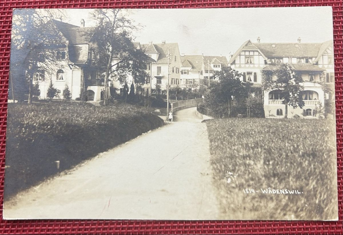 Cartoline postali: Fotokarte Wädenswil 1919  – Usato da Horw venduto da Tellbub