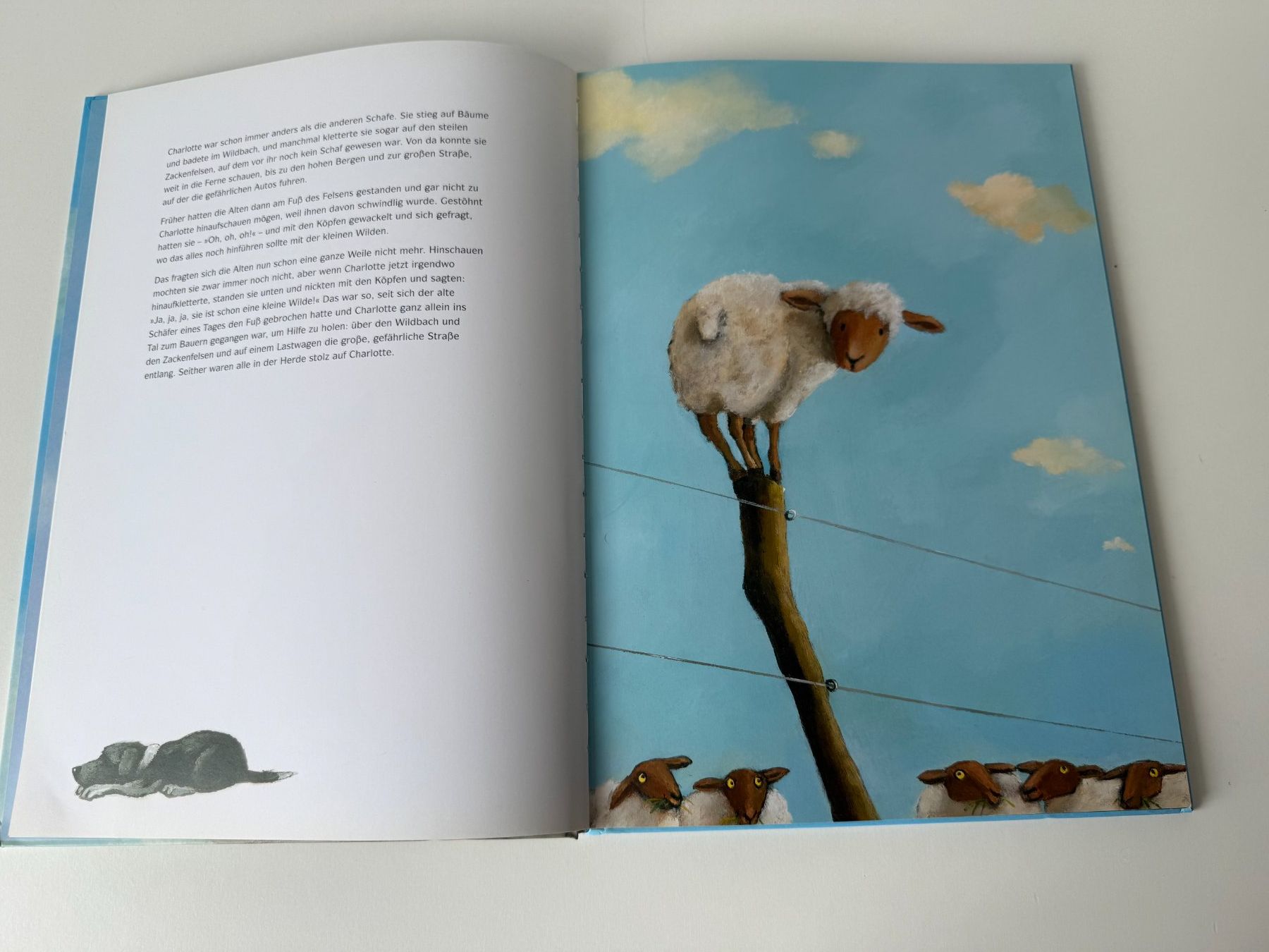Bücher: Charlotte und die Wölfe – Gebraucht aus Winterthur von brittalili 2