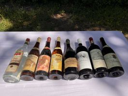 8 Flaschen Weine  (26)